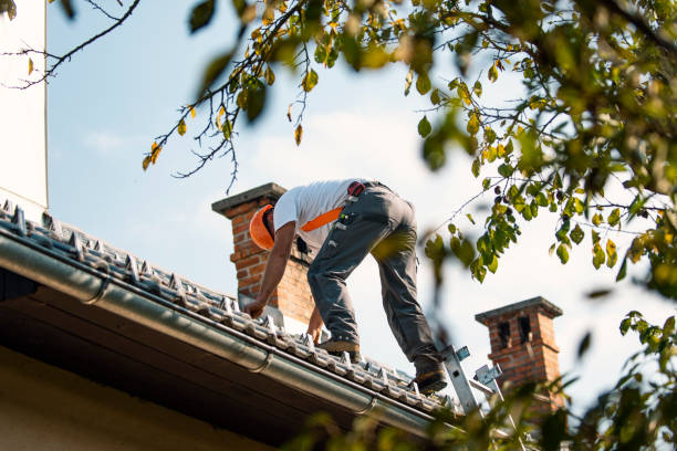Best Flat Roof Repair Services  in Big Spring, TX